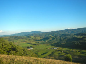 DSCN0508